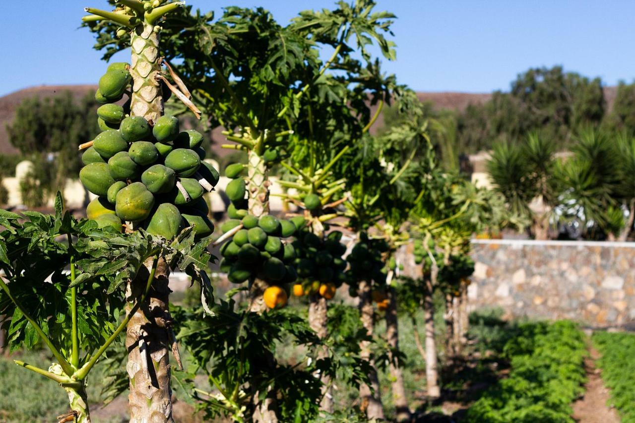 Finca Arbequina Pájara エクステリア 写真