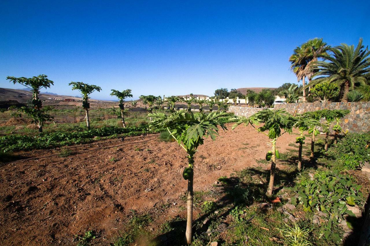 Finca Arbequina Pájara エクステリア 写真