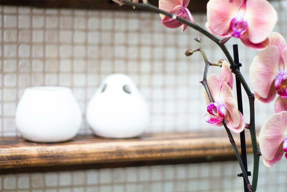 Finca Arbequina Pájara エクステリア 写真